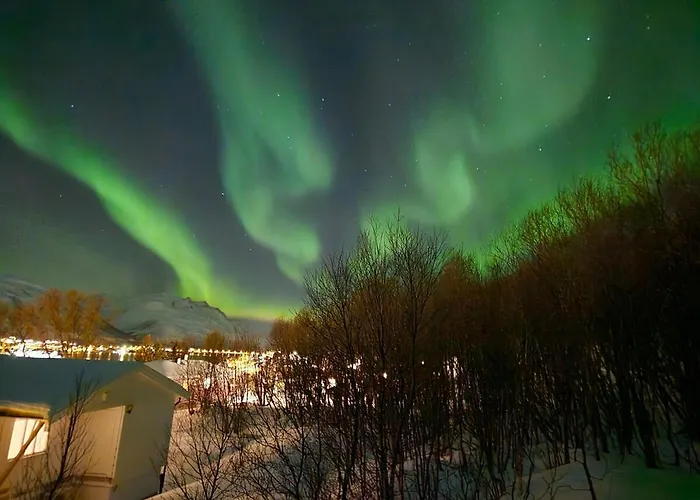 Large Modern House, Perfect For Northern Lights Hunting Feriehus